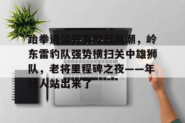 跆拳道公开赛掀起高潮，岭东雷豹队强势横扫关中雄狮队，老将里程碑之夜——年轻人站出来了的简单介绍